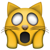 Çığlık atan kedi ifadesi
