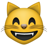 Gülümseyen kedi ifadesi