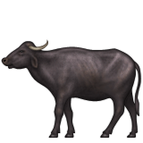 bufalo sembolü