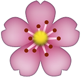 kiraz çiçeği sembolü