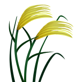 pirinç yaprağı sembolü