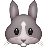 tavşan sembolü