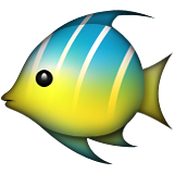 tropikal balık sembolü
