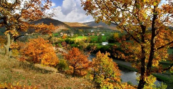 Mutlaka Görülmesi Gereken Karadeniz Yaylaları