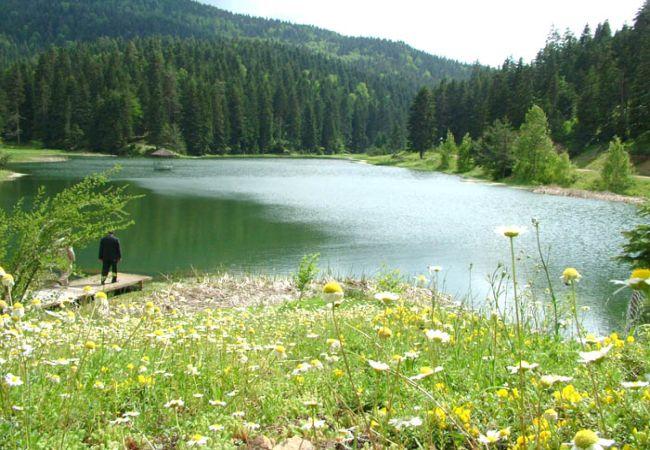 Mutlaka Görülmesi Gereken Karadeniz Yaylaları