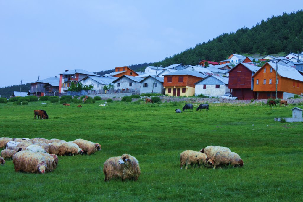 Mutlaka Görülmesi Gereken Karadeniz Yaylaları