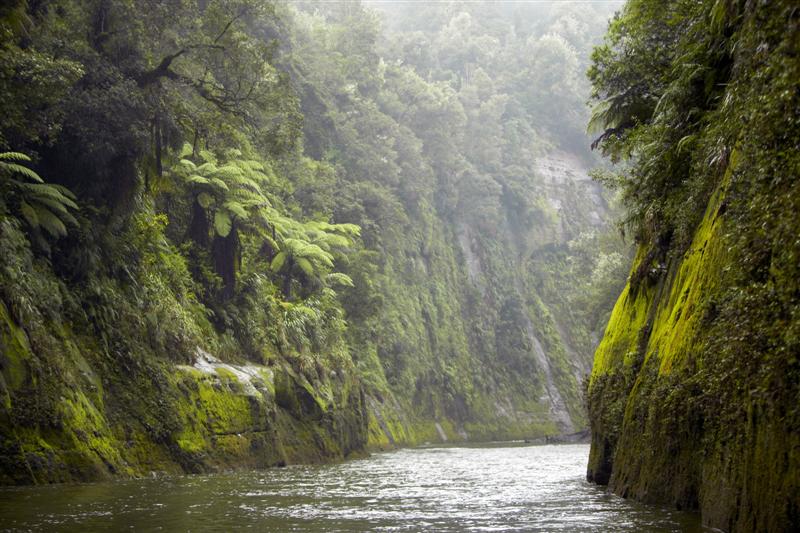 Dünyada Bir Nehir İlk Defa Yasal Olarak 'Canlı' Statüsü Kazandı