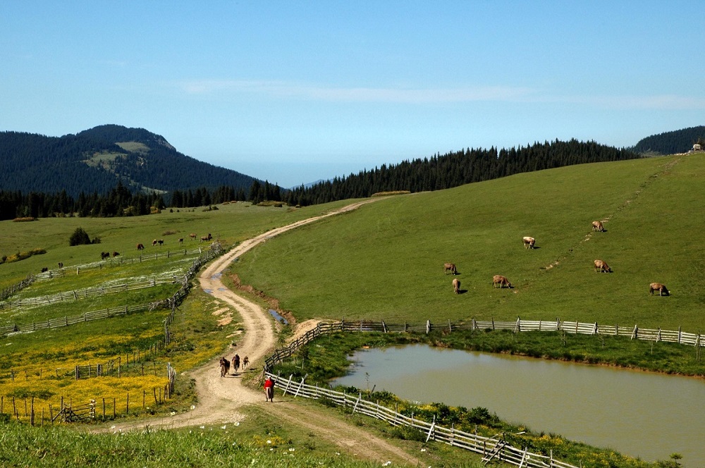 Mutlaka Görülmesi Gereken Karadeniz Yaylaları