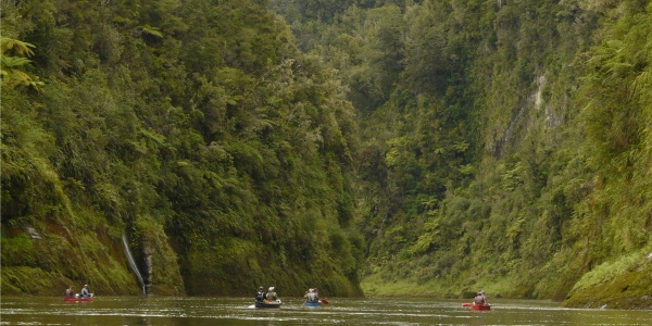 Dünyada Bir Nehir İlk Defa Yasal Olarak 'Canlı' Statüsü Kazandı