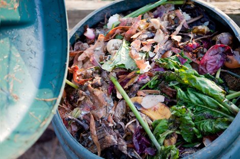 kompost yapma örneği
