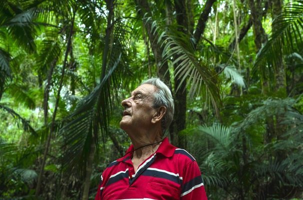 Antonio Vicente brezilyada orman yarattı