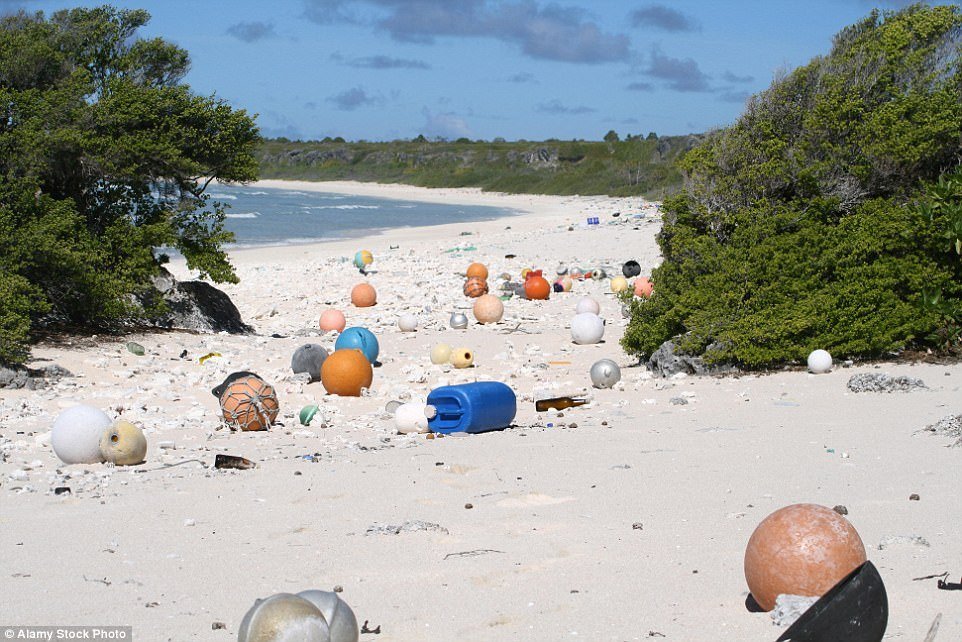 Çevre Kirliliği Hakkında Herşey Henderson adası dünyanın en kirli adası
