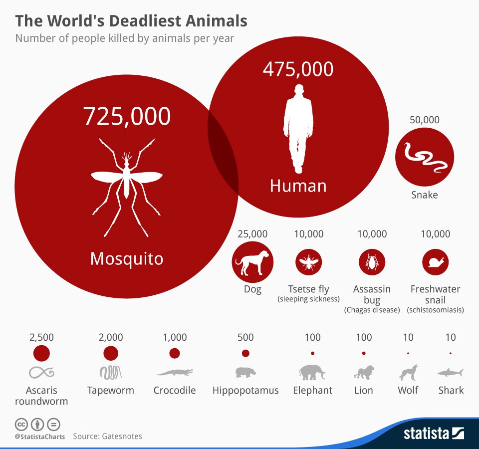 hayvanlar arasından en çok sayıda insan öldüren sivrisinek rakamlarla