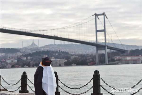 greenpeace penguen eylemi